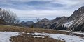 20250412_124101.jpg