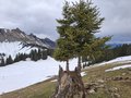 20250412_130240.jpg