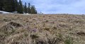 20250412_150757.jpg