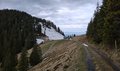 20250412_153338.jpg