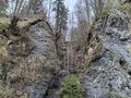 20250418_105558.jpg