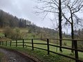 20250418_112302.jpg