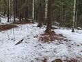 20250418_120840.jpg