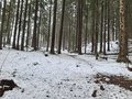 20250418_121445.jpg