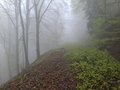 20250421_114025.jpg