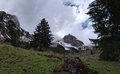 20250421_135350.jpg