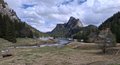 20250421_143725.jpg