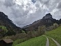 20250421_153057.jpg