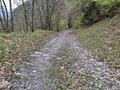 20250421_163617.jpg