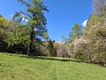 20250429_104044.jpg