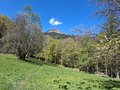 20250429_104128.jpg