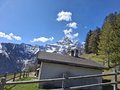 20250429_112936.jpg