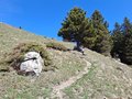 20250429_114541.jpg