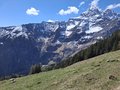 20250429_114546.jpg