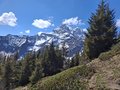 20250429_115955.jpg