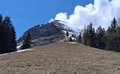20250429_130601.jpg