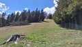 20250429_131213.jpg
