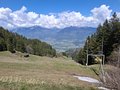 20250429_141848.jpg