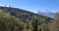 20250501_113940.jpg