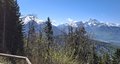 20250501_123708.jpg
