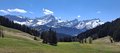 20250501_130447.jpg