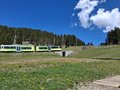 20250501_130809.jpg