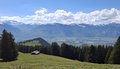 20250501_145129.jpg