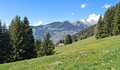 20250501_150547.jpg