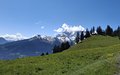 20250511_112641.jpg