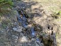 20250511_113926.jpg