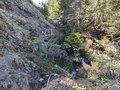 20250511_113935.jpg