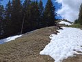 20250511_115603.jpg