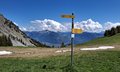 20250511_120320.jpg