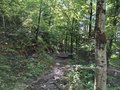 20250517_155610.jpg