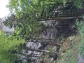 20250517_160205.jpg