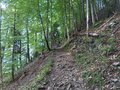 20250517_163321.jpg