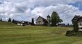 20250517_174153.jpg