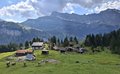 20250518_102905.jpg
