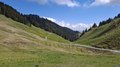 20250518_113715.jpg