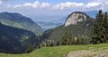 20250518_125521.jpg
