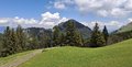 20250518_125524.jpg