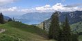 20250518_130916.jpg