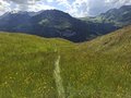 20250518_161648.jpg