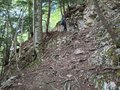 20250518_170312.jpg