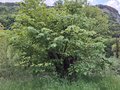 20250518_193750.jpg
