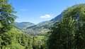 20250519_094451.jpg