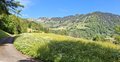 20250519_094748.jpg