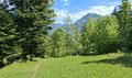 20250519_111003.jpg