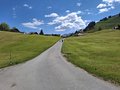 20250519_113420.jpg