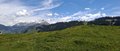 20250519_134650.jpg